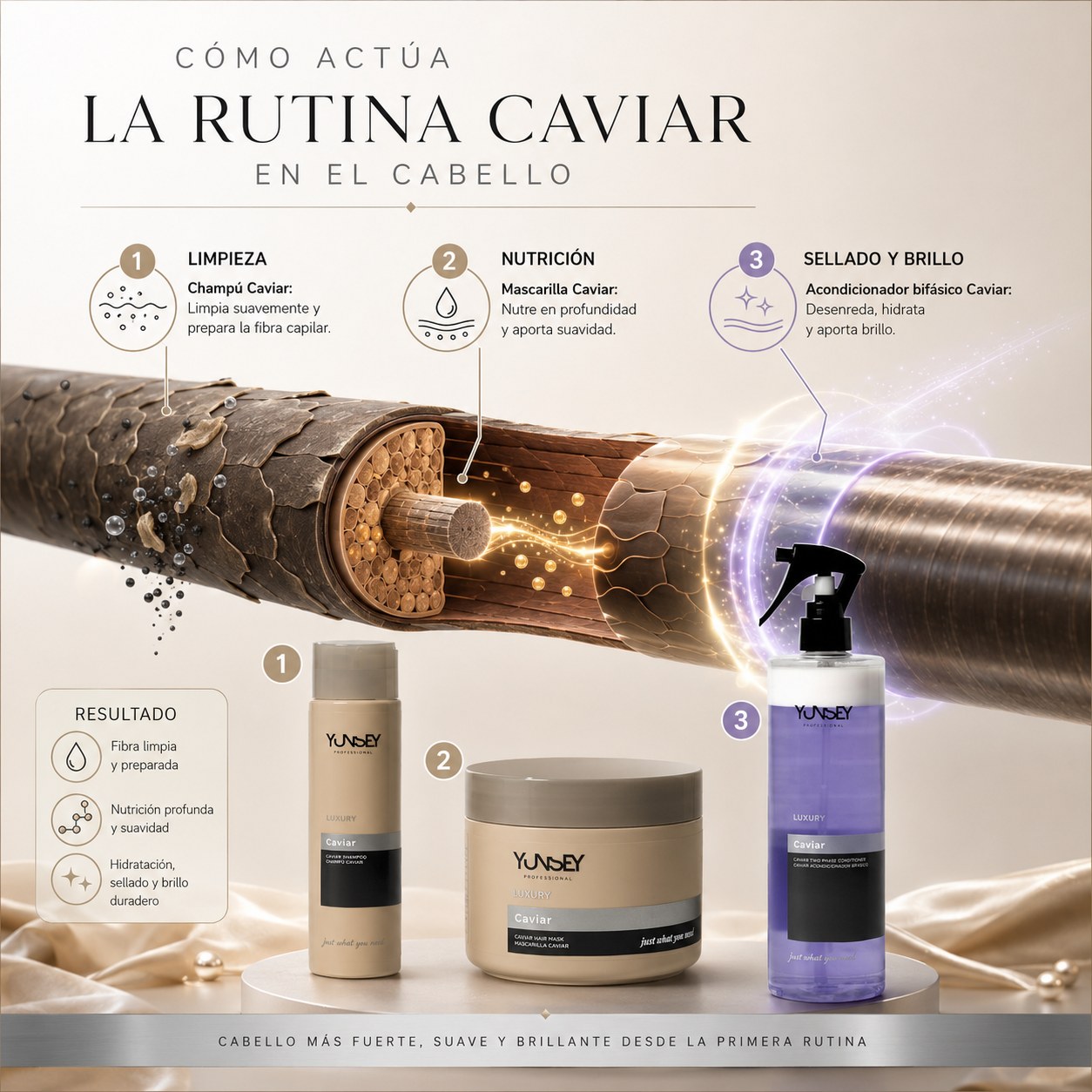 Cómo actúa la rutina Caviar de YUNSEY en el cabello: limpieza, nutrición, sellado y brillo